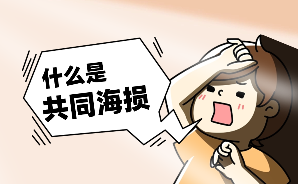 国际海运中的共同海损:原理与货主须知